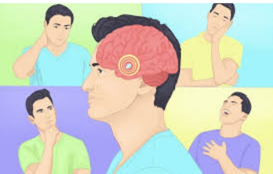 Amygdala: Mastering Stress Response