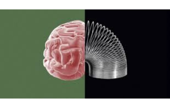 Resilience Brain Training for Success
