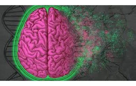 Revolutionizing Brain Health