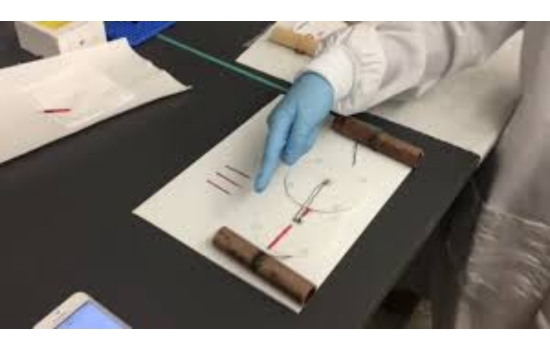 Revolutionize Research with Enrichment