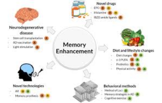 Master Memory for Optimal Recall
