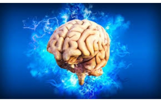 Unlock High-Performance Neurophysiology