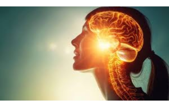 Unlock Your Brain's Potential