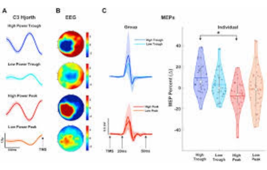Maximize Focus with EEG Power