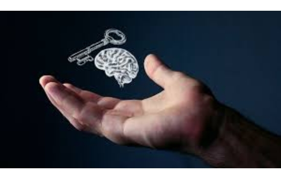 Unlocking Success Through Neuroeducation