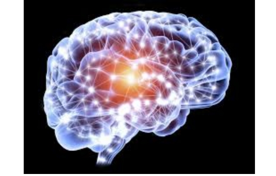 Unlock Adult Brain Neurogenesis