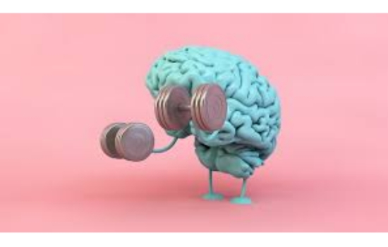 Unleash Brain Plasticity Mastery