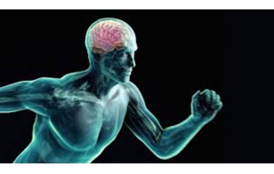 Exercise Enhances Brain Power
