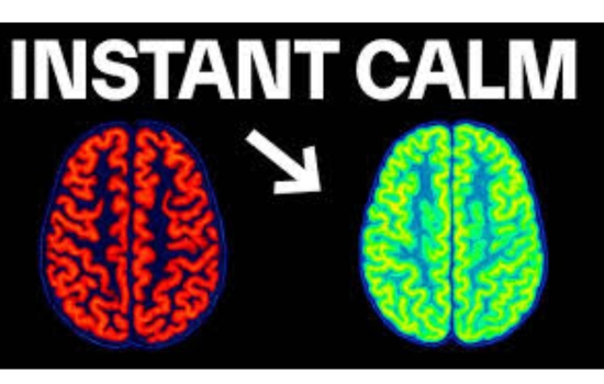 Neurohacking: Unlock Your Productivity