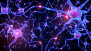 Neural Signal Breakthroughs